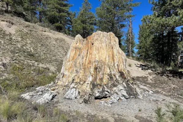 Florissant Fossil Beds